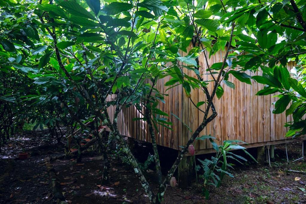 Rio Celeste, Cacahua Lodge Zewnętrze zdjęcie