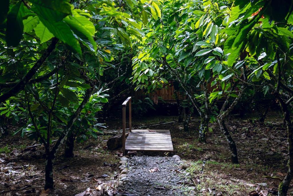 Rio Celeste, Cacahua Lodge Zewnętrze zdjęcie