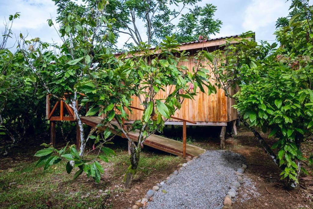 Rio Celeste, Cacahua Lodge Zewnętrze zdjęcie